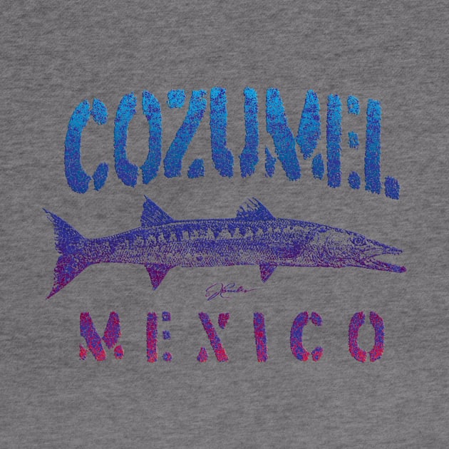 Cozumel, Mexico, Great Barracuda by jcombs